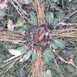 formationlandart-tarnpuylaurens-atelierartnature